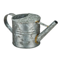 GIESSKANNE - Silberfarben, Metall (28.5/14/13cm) - Relaxdays