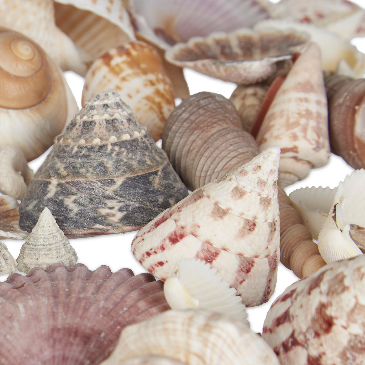 MUSCHEL Set - Silberfarben, Naturmaterialen/Textil (18/18/11cm) - Relaxdays