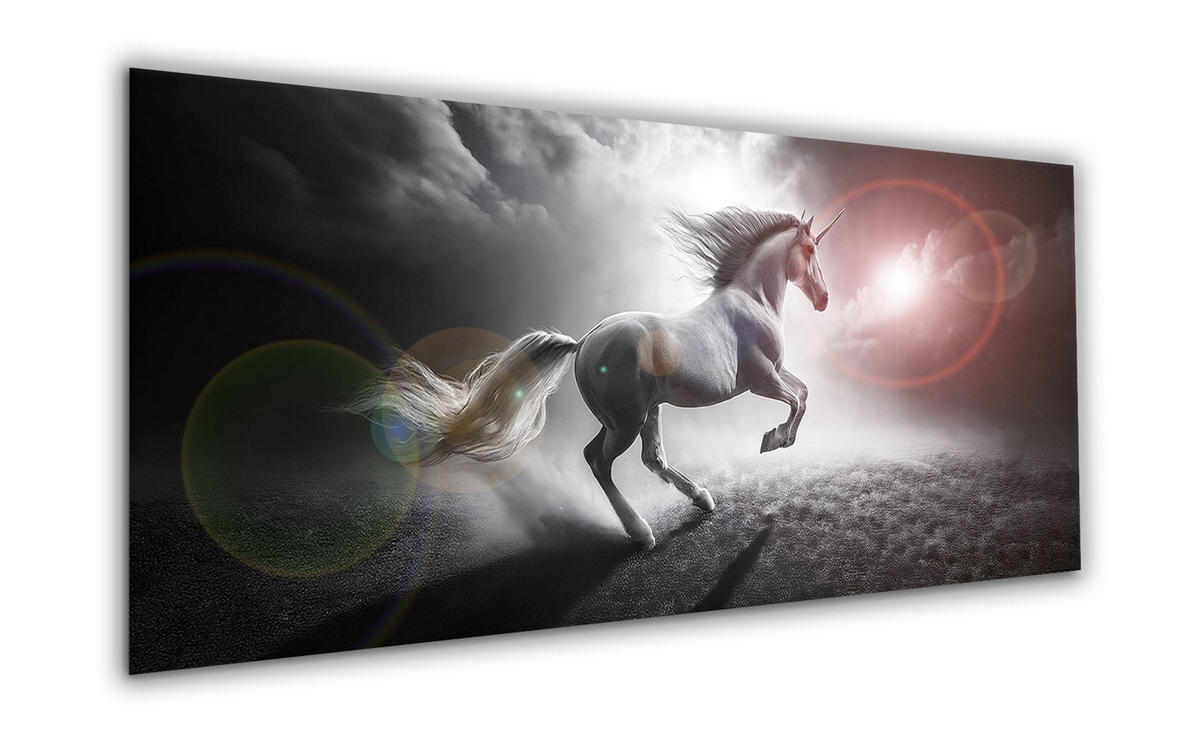 GLASBILD 125x50 cm Einhorn schwarz weiß - Weiß, Glas (125/50cm) - artissimo