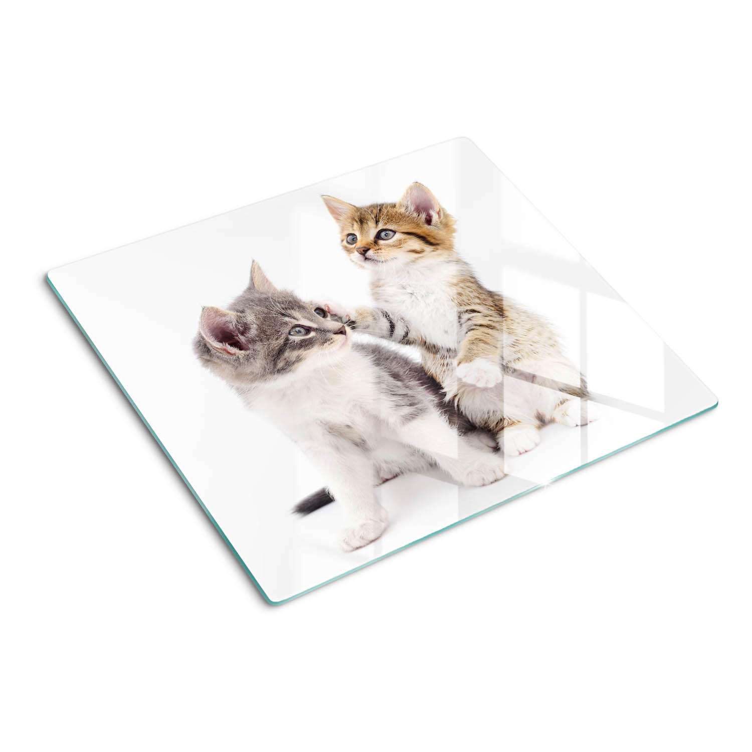 GLASPLATTE 60x52 cm Zwei kleine Katzen - Ecru, Glas (60/52cm) - TULUP