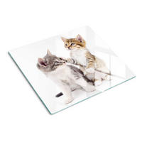 GLASPLATTE 60x52 cm Zwei kleine Katzen - Ecru, Glas (60/52cm) - TULUP