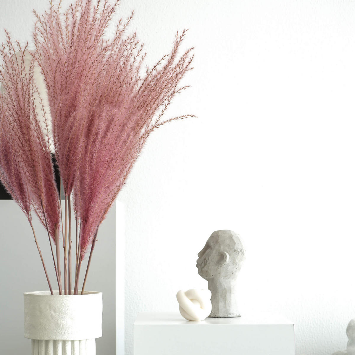 FEDERGRAS I Miscanthus - die zurückhaltende Deko - beige / 60 cm - Beige, Naturmaterialien (60cm) - Lykke & You
