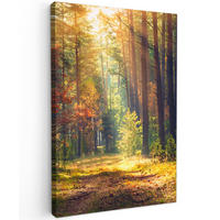 LEINWANDBILD Wald - Herbst - Bäume 60x90 cm - Dunkelgrün, Textil (60/90cm) - MuchoWow