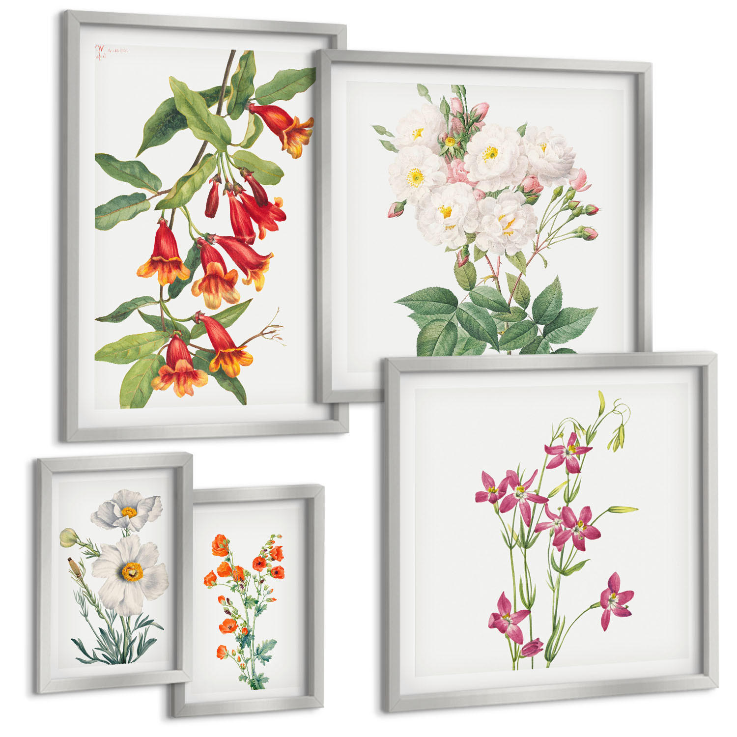 BILDER SET 5er Set - 50x50 cm & 20x30 cm & 40x60 cm Silberner Rahmen - Retro-Blumenmalerei - Silberfarben, Kunststoff (40/60cm) - TULUP
