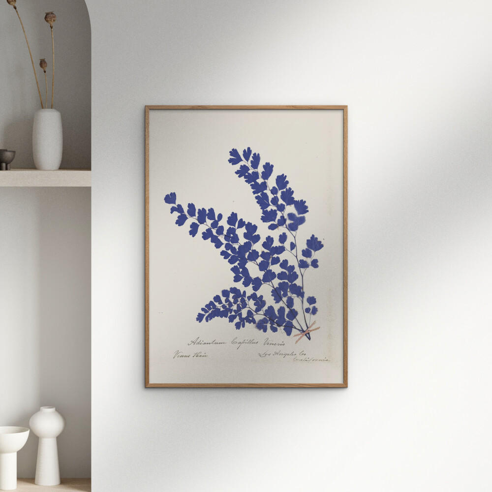 POSTER Wild Apple - Botanical Fern III Blue - Blau, Papier (70/100/0.1cm) - Poster&Frame