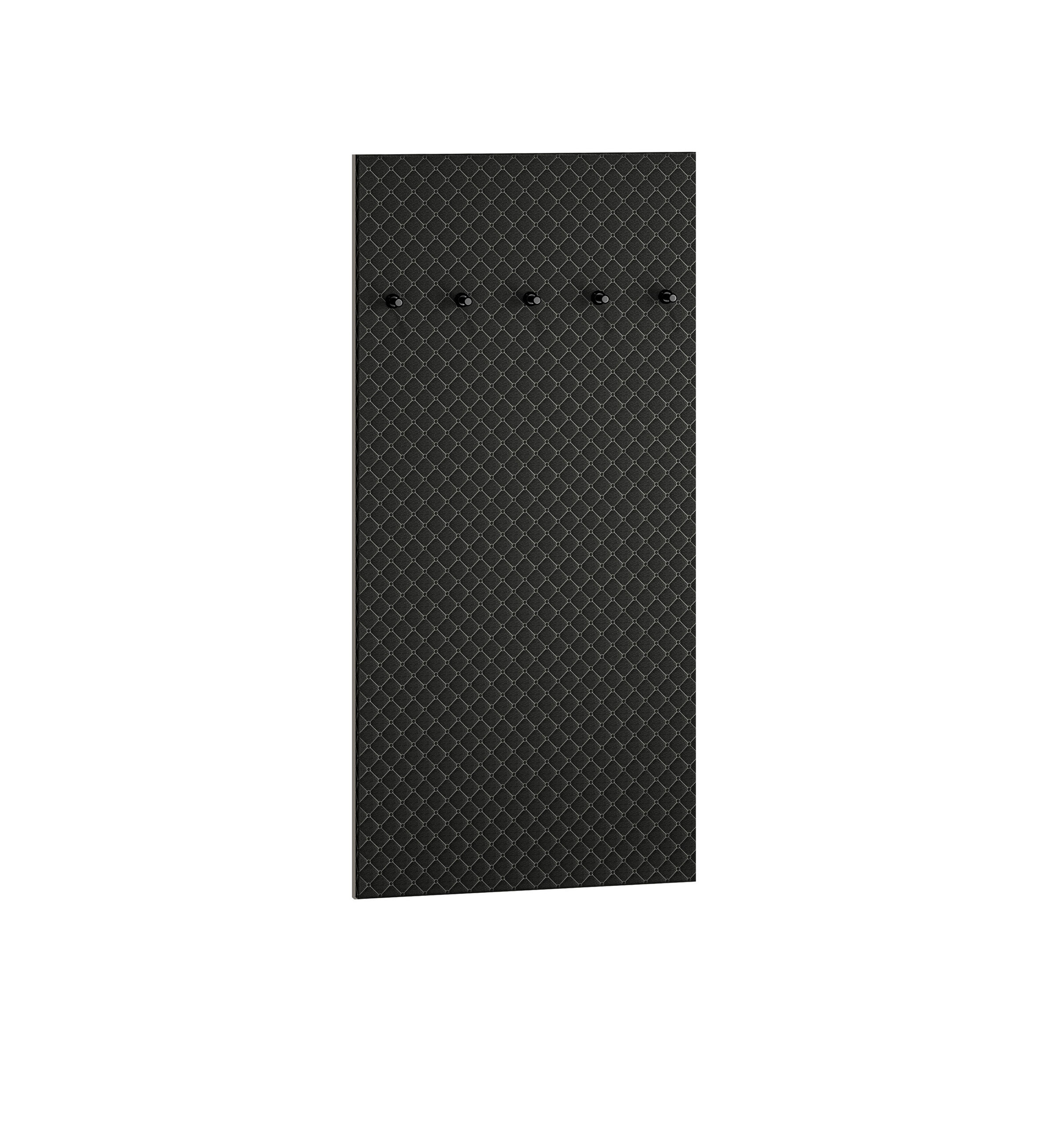 Feldmann-Wohnen Paneel Schwarz 70x145x3 cm