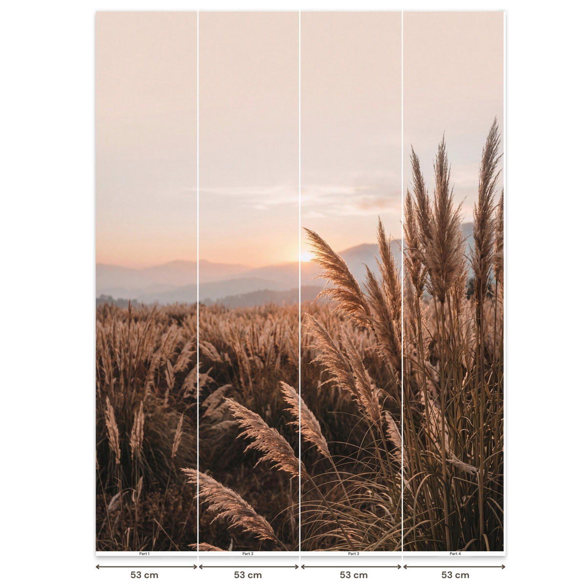 TAPETE - Gras - Feld - Sonne - Natur - 200x280 cm - Sandfarben, Papier (200/280cm) - OnlyWow