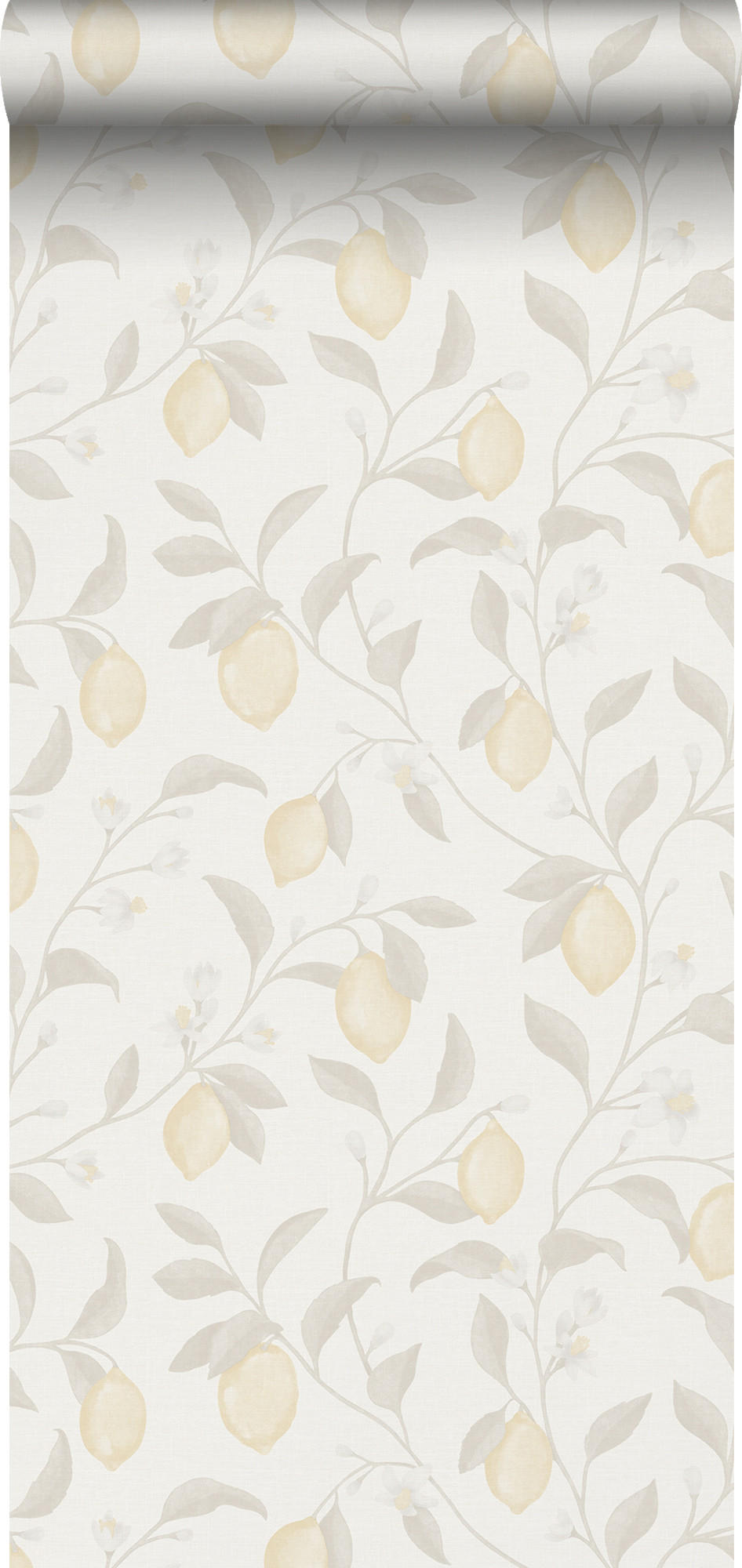 TAPETE Obst 53 cm x 10 m - Beige, Papier (53/1000cm) - Sanders & Sanders