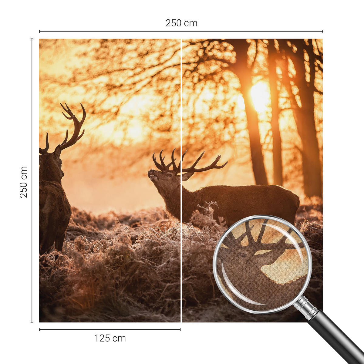 FOTOTAPETE 250x250 cm - Rehe am Morgen - Schwarz, Textil (250/250cm) - Wallfluent