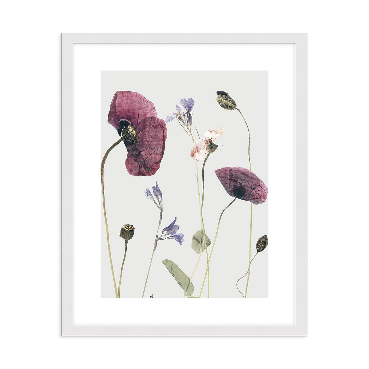 POSTER mit Rahmen 40x50 cm Mohn-Blumen rosé natur - Beige, Holz (41/51cm) - artissimo
