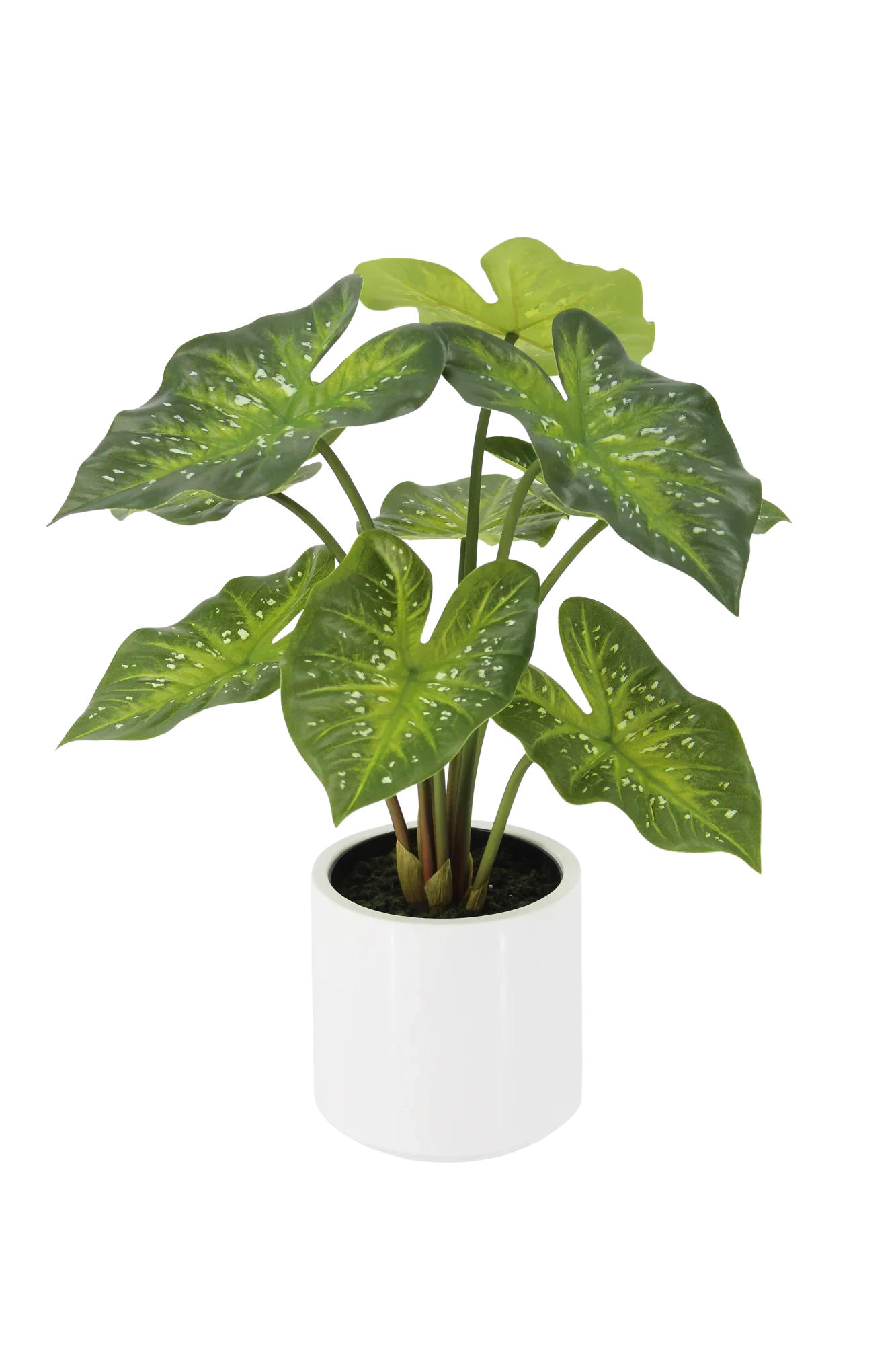 KUNSTPFLANZE Künstliche Caladium - Tiara 60 cm - Grün, Kunststoff (58cm) - aplanta