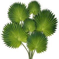 KUNSTPFLANZE 6-teiliges Set Palmenblätter Grün - Grün, Kunststoff (36cm)