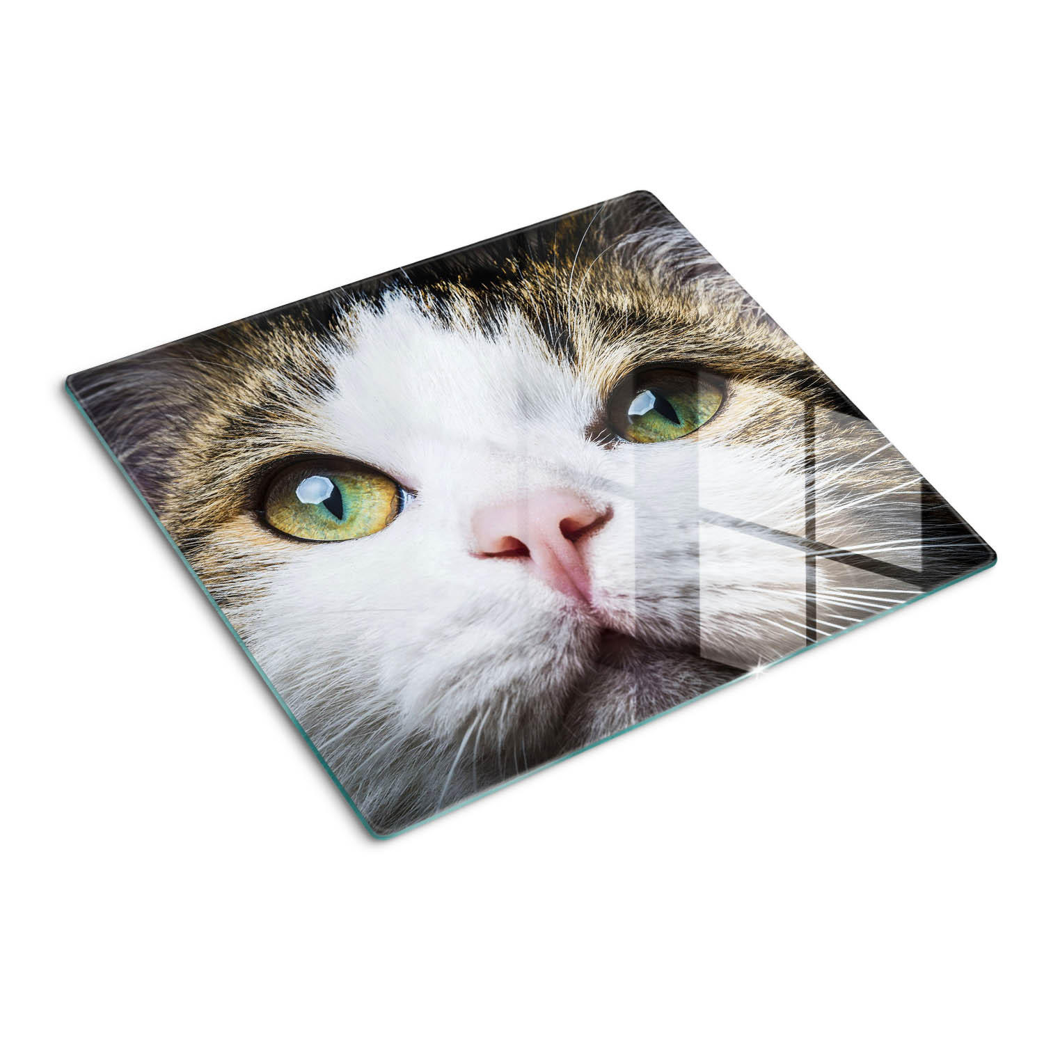 GLASPLATTE 60x52 cm Grüne Katzenaugen - Braun/Weiß, Glas (60/52cm) - TULUP