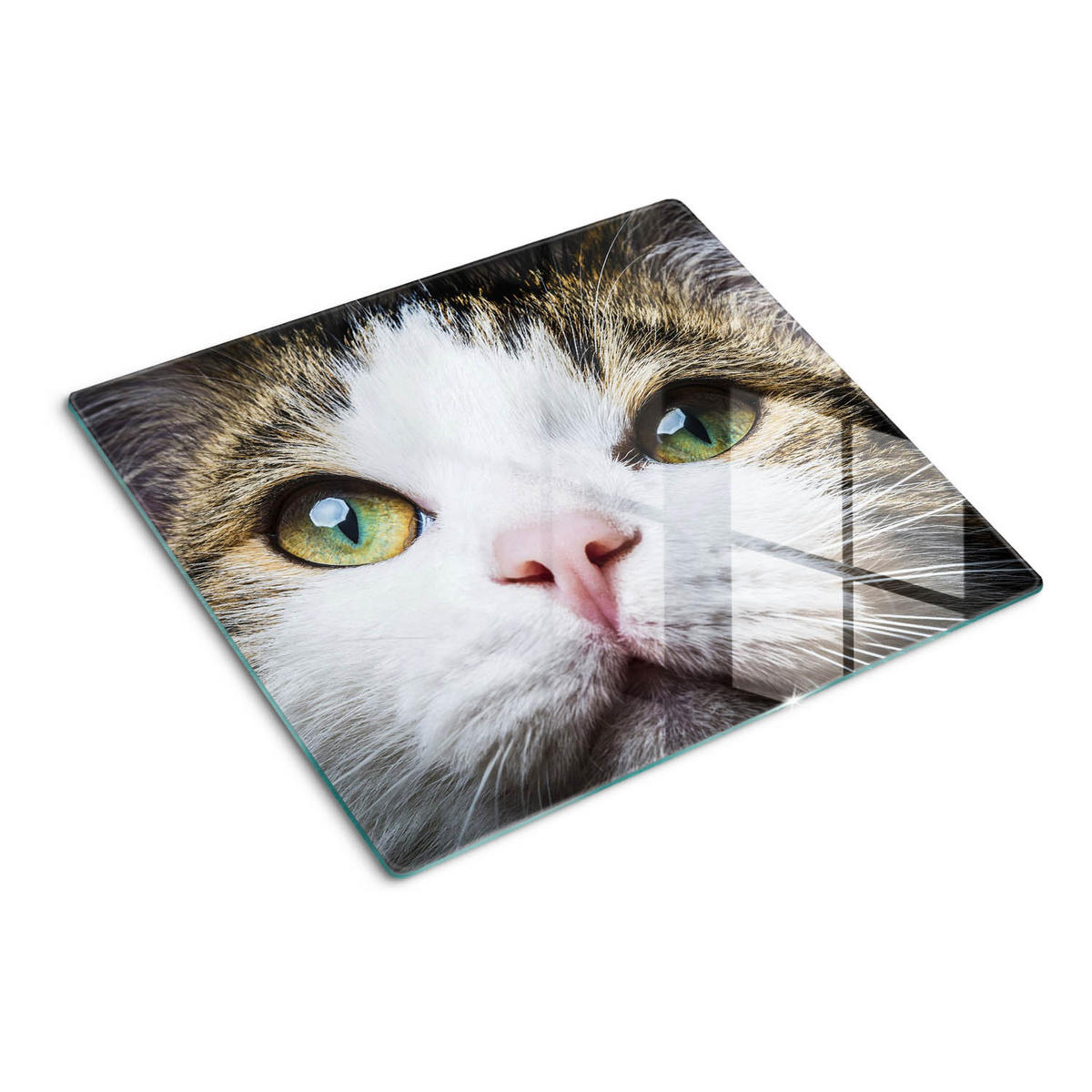 GLASPLATTE 60x52 cm Grüne Katzenaugen - Braun/Weiß, Glas (60/52cm) - TULUP
