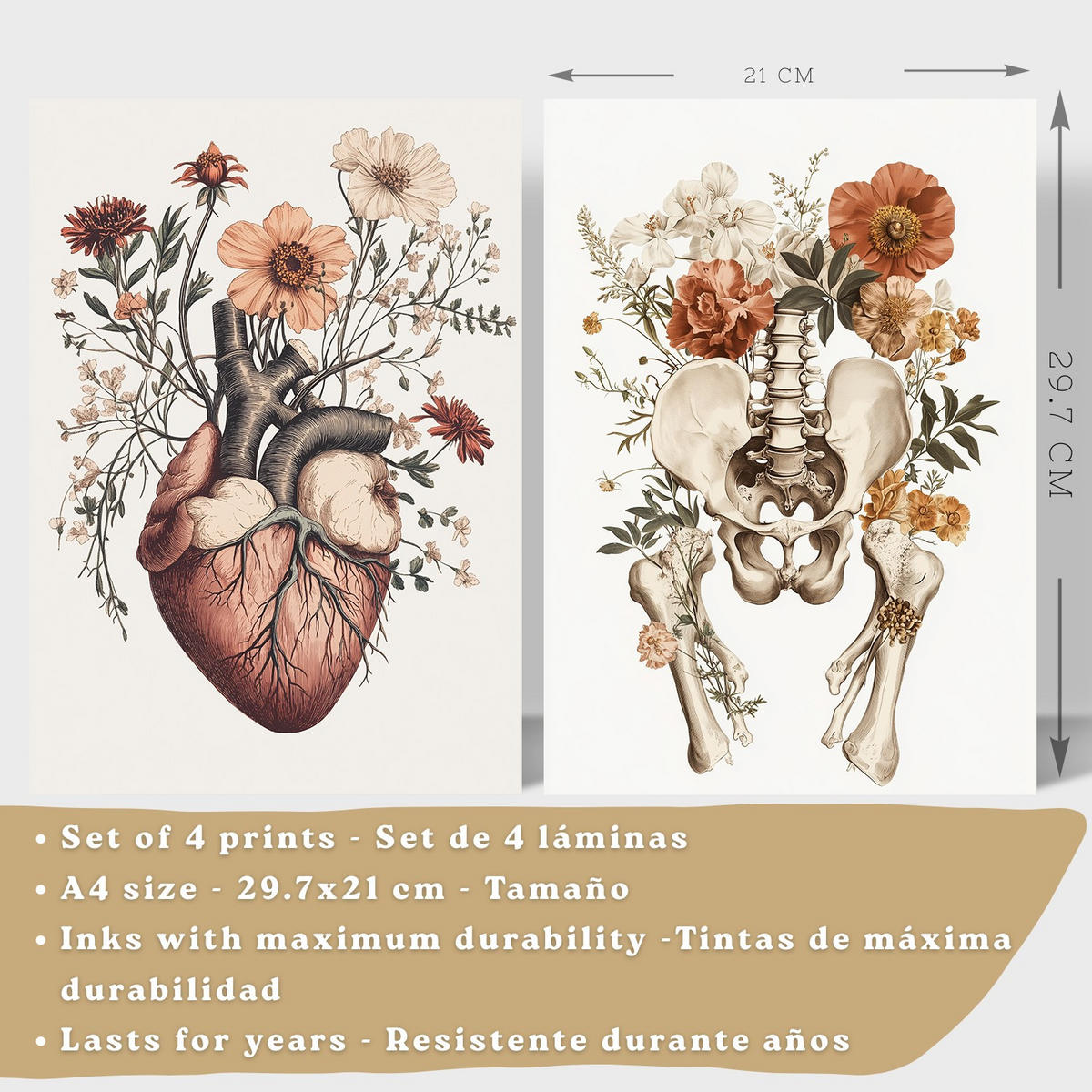 POSTER Set aus 4 Anatomie Drucke und Wandbilder mit Herz Nieren Schädel und Becken Botanischer Stil Medizinische Wanddekoration Größe Rahmenlos A4 - Klar, Papier (21/29.7/3cm) - Nacnic