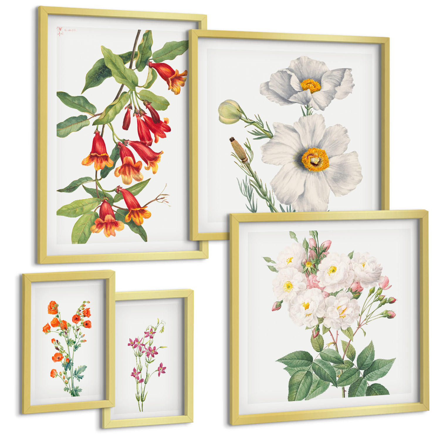 BILDER SET 5er Set - 50x50 cm & 20x30 cm & 40x60 cm Goldrahmen - Blumenmalerei im Retro-Stil - Goldfarben, Kunststoff (40/60cm) - TULUP