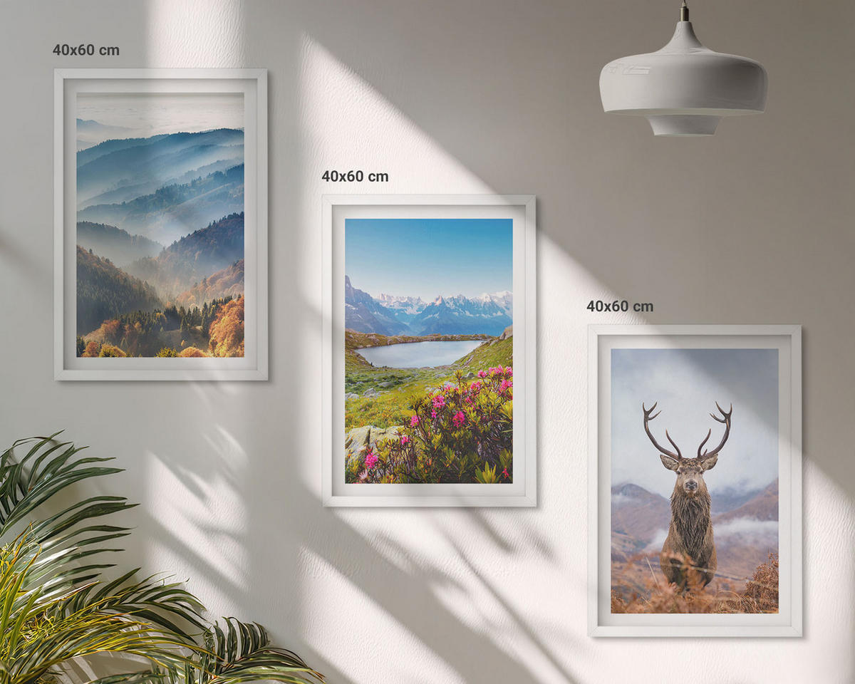 WANDBILDER 3er-Set - 40x60 cm Weißer Rahmen - Natur des Bergseehirsches - Weiß, Kunststoff (40/60cm) - ArtPrintCave