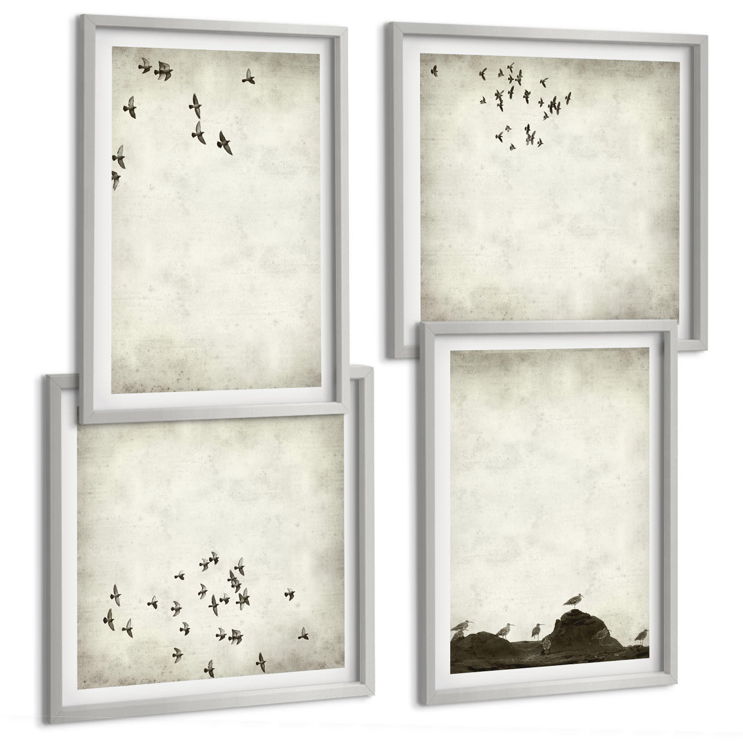 BILDER SET 4er Set - 50x50 cm & 40x60 cm Silberner Rahmen - Minimalistische Vogelmalerei - Silberfarben, Kunststoff (50/50cm) - TULUP