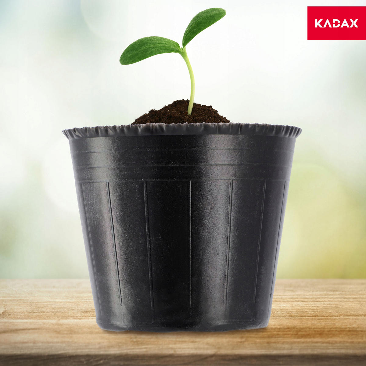 SAMENTOPF, rund, 9 cm, 100 Stück - Schwarz, Kunststoff - KADAX