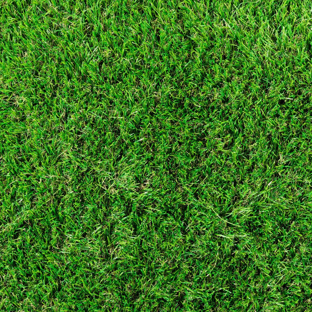 RANSENTEPPICH Grün 400/400 cm Dublin - Grün, Kunststoff (400/1200cm) - Steffensmeier