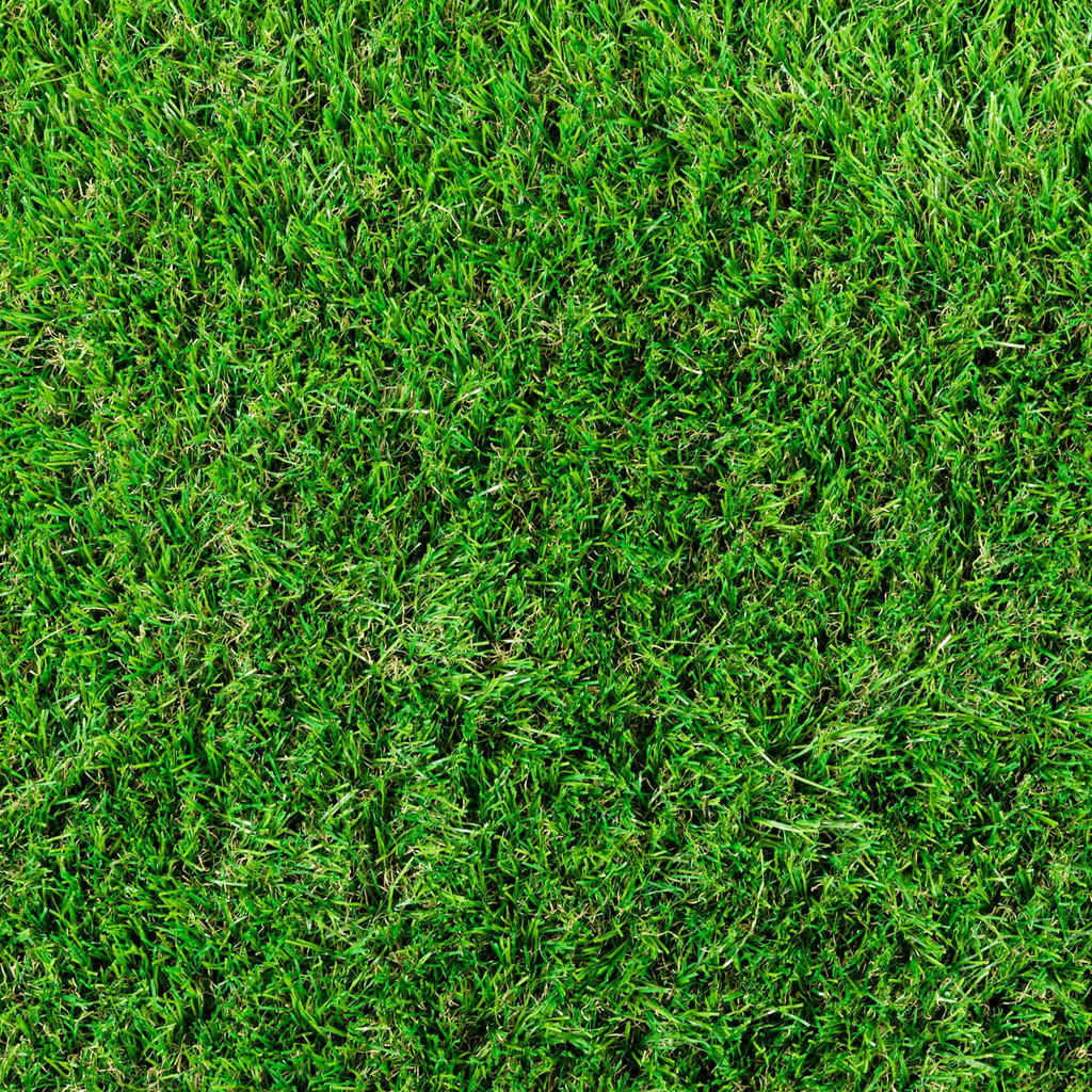 Thumbnail - Steffensmeier Ransenteppich, Grün, Kunststoff, Rechteckig, 100x600 cm, UV-beständig, Gartenzubehör, Terrassen- & Balkonb...