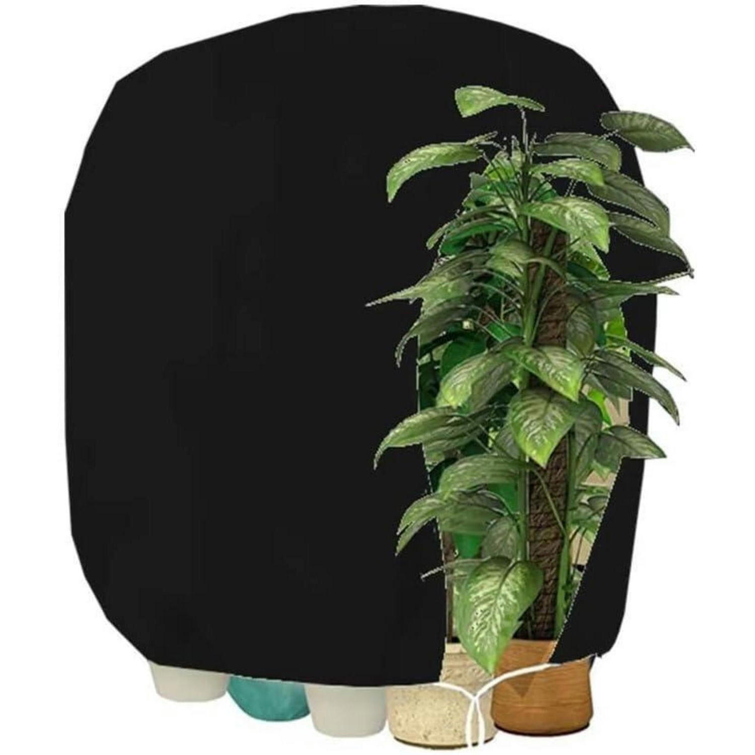 XXXLutz Pflanzenschutzhaube Schwarz 10x5x15 cm
