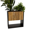 BLUMENKASTEN Kiefer Milford 45/44/22,6cm - Kiefer Milford, Holzwerkstoff (44/45/22.6cm) - CraftPAK