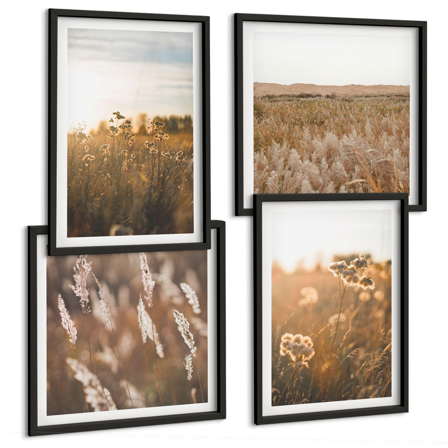 BILDER SET 4er Set - 50x50 cm & 40x60 cm Schwarzer Rahmen - Sommerwiesenblumen Sonnenuntergang - Schwarz, Kunststoff (50/50cm) - TULUP