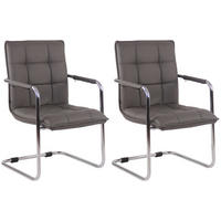 BESUCHERSTÜHLE Gant - 2er Set Kunstleder chrom grau - Chromfarben/Grau, Textil/Metall (57/89/64cm) - TPFLiving