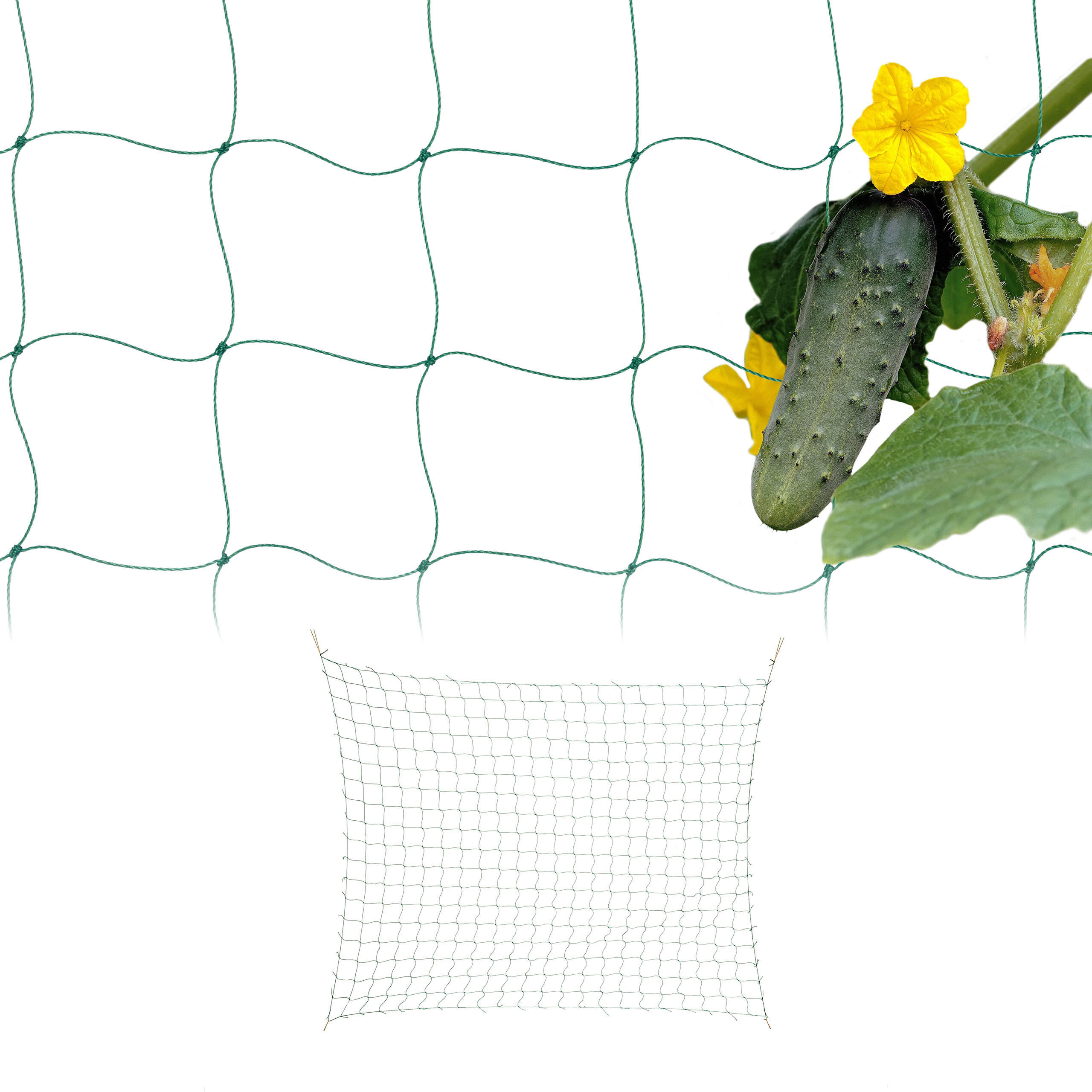 2xRANKNETZ - Grün, Kunststoff (360/180/0.1cm) - Relaxdays