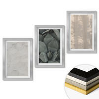 WANDBILDER 3er Set - 20x30 cm Silberner Rahmen - Sommerliche tropische Texturen - Silberfarben, Kunststoff (20/30cm) - ArtPrintCave