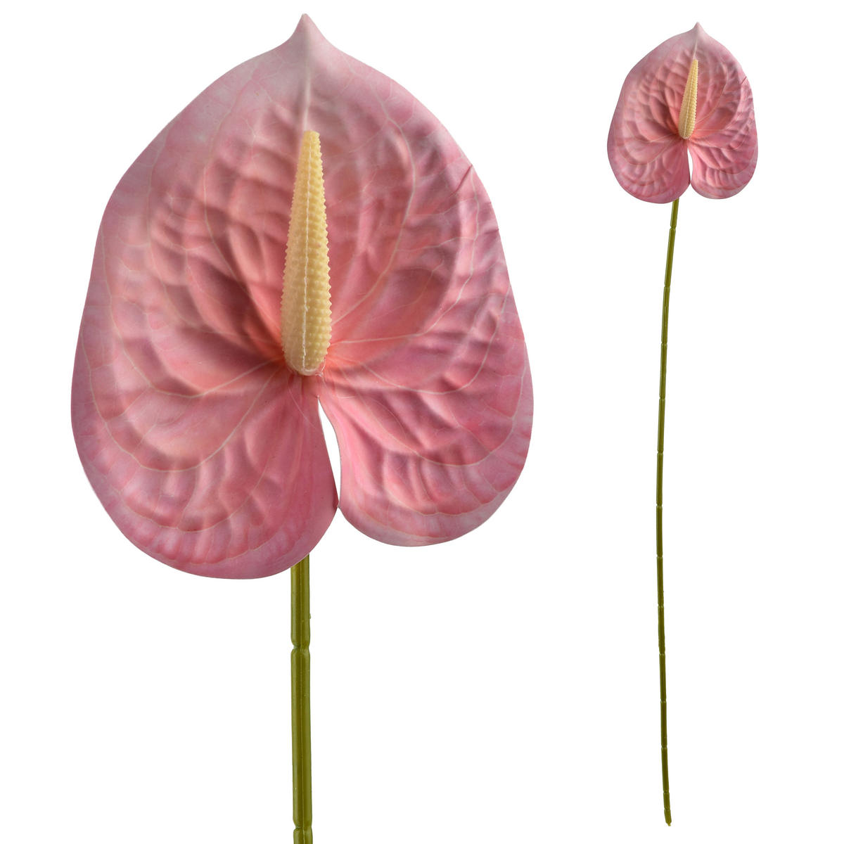 UMĚLÁ KVĚTINA Anturie, růžová, 60 cm - růžová, plast (60cm) - Mondex