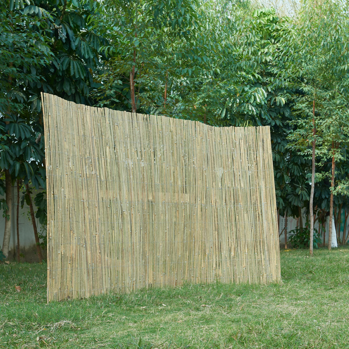 BAMBUSZAUN Baarle - Naturfarben, Naturmaterialien (300/180cm) - casa.pro