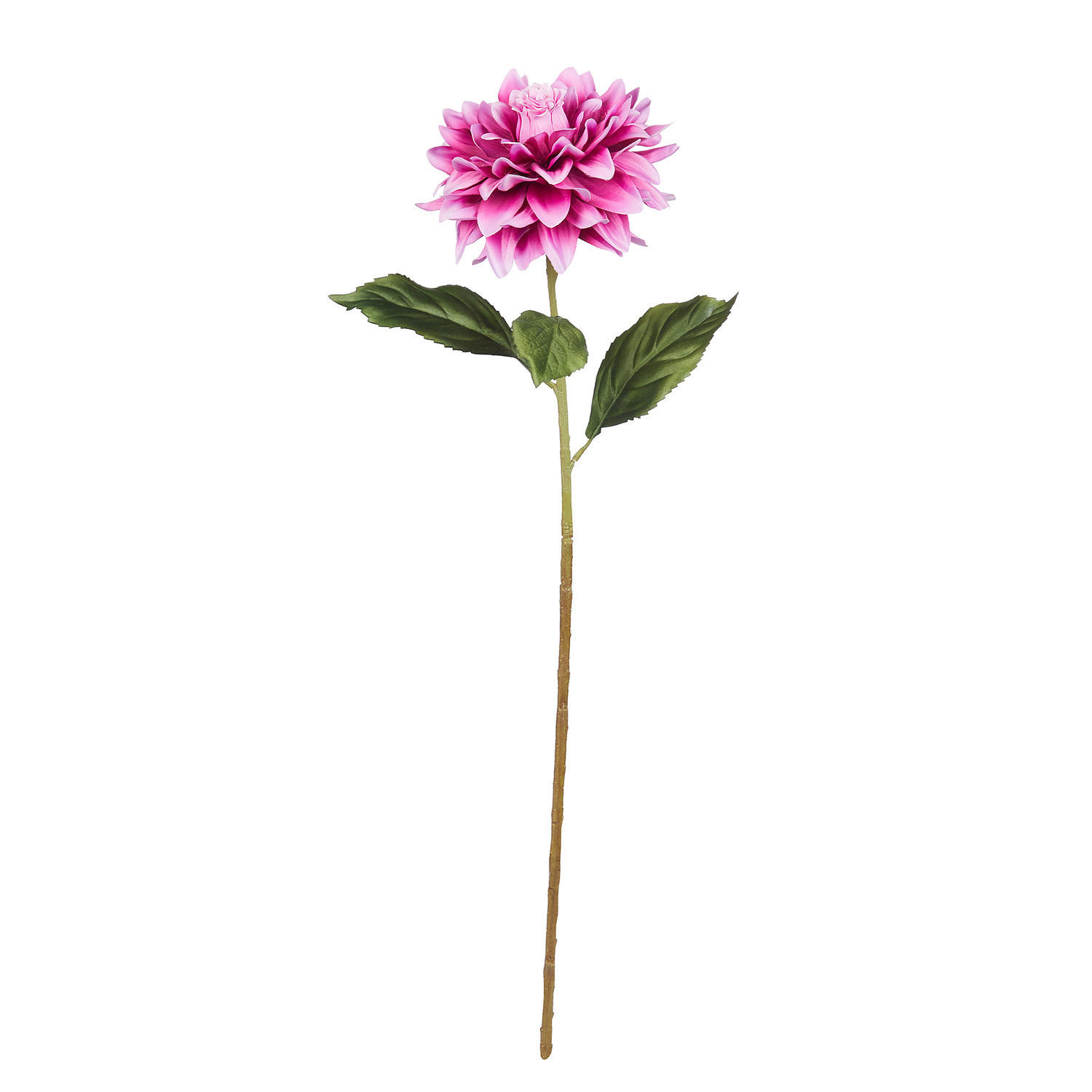 KUNSTBLUME Florista Dalie - Beere, Kunststoff (68cm) - Butlers