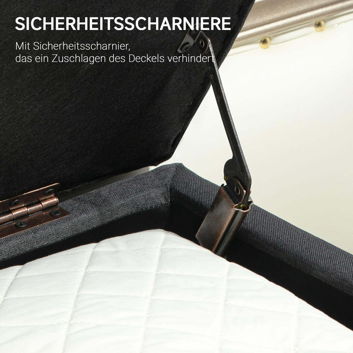 SITZBANK Polsterbank mit Stauraum scandinavia Truhenbank Polyester Holz - Dunkelgrau, Kunststoff (39/45/110cm) - HOMCOM