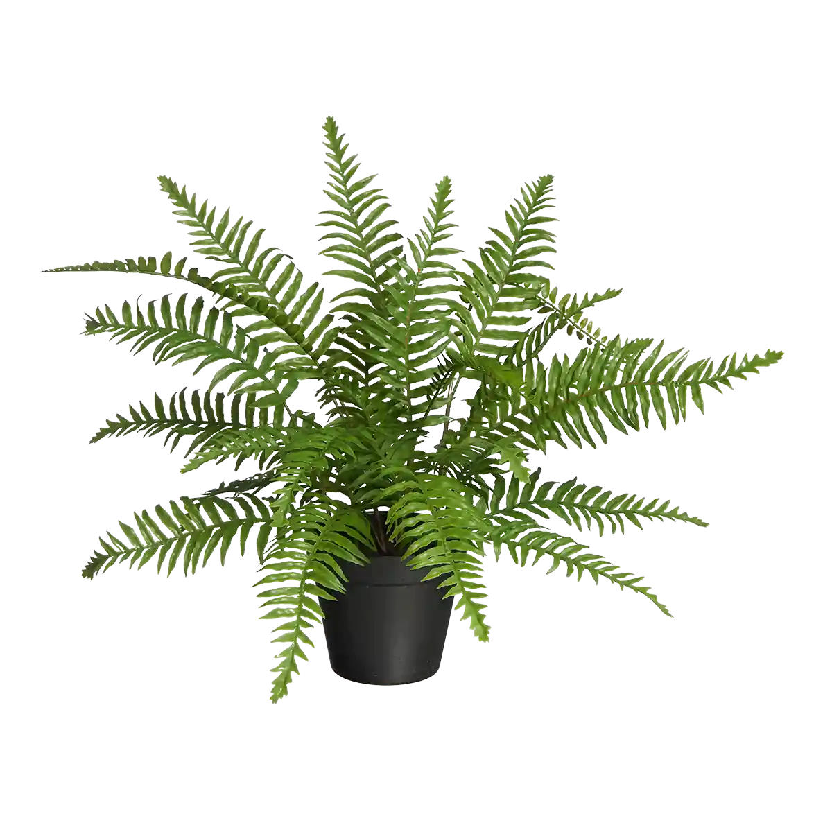 KUNSTPFLANZE Künstlicher Schwertfarn - Grimm 46 cm - Grün, Kunststoff (46cm) - aplanta