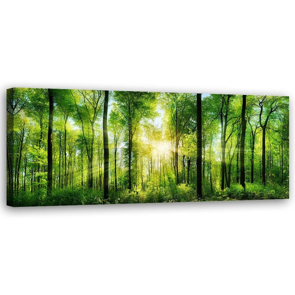 BILD AUF LEINWAND Sonnenschein im Wald Landschaft - Grün, Textil (90/30cm) - Feeby