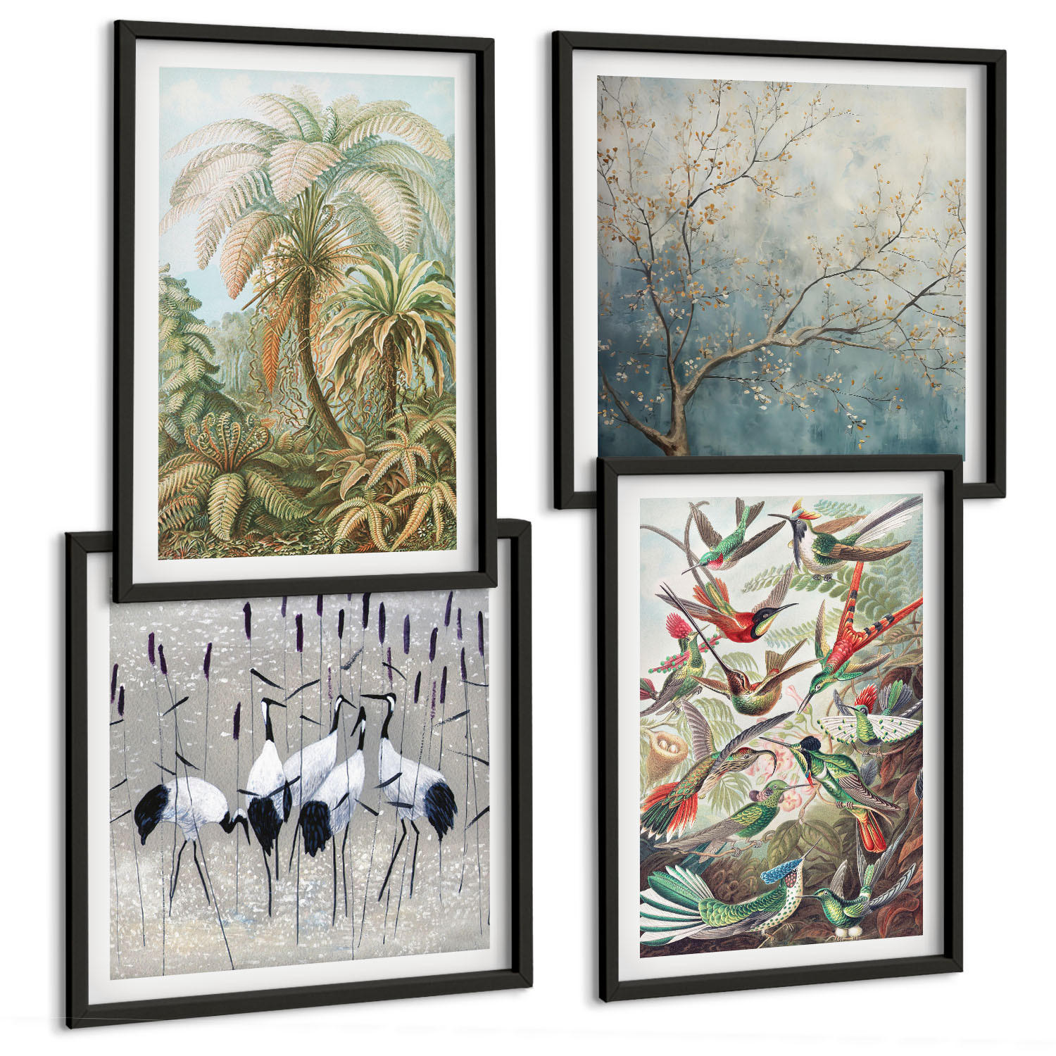 BILDER SET 4er Set - 50x50 cm & 40x60 cm Schwarzer Rahmen - Tropische Pflanzen, Vögel, Natur - Schwarz, Kunststoff (50/50cm) - TULUP