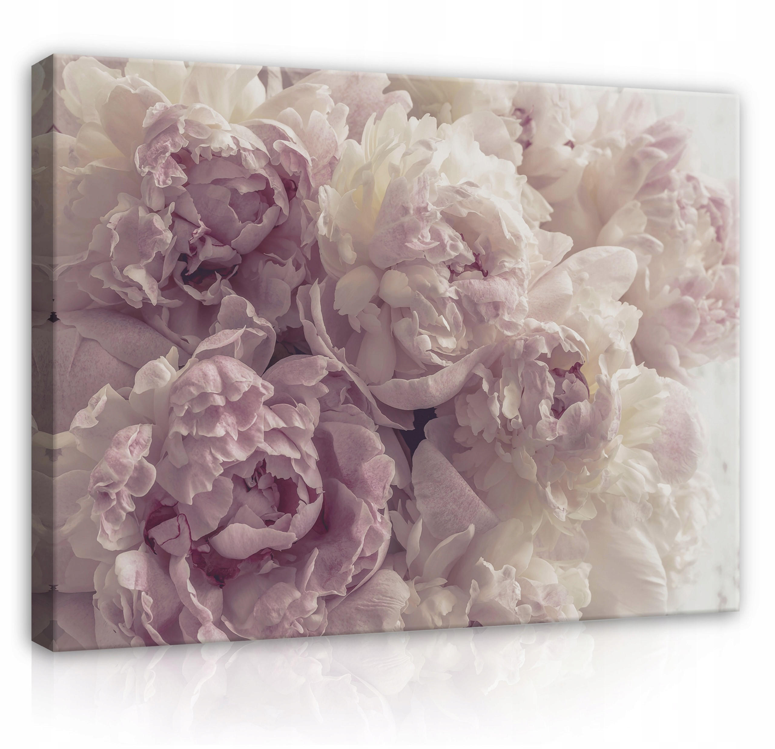 LEINWAND BILDER Blumen Schlafzimmer 100x70 - Multicolor, Holzwerkstoff (100/70cm) - Wallarena