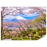FOTOTAPETE für Wohnzimmer Peace Park Fuji View Kirschblüten 150x105 - Rosa/Braun, Papier (150/105cm) - Muralo