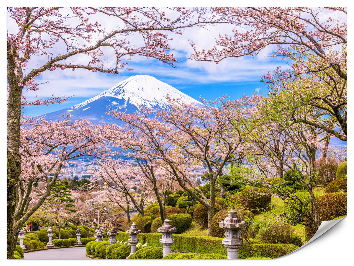 FOTOTAPETE für Wohnzimmer Peace Park Fuji View Kirschblüten 150x105 - Rosa/Braun, Papier (150/105cm) - Muralo