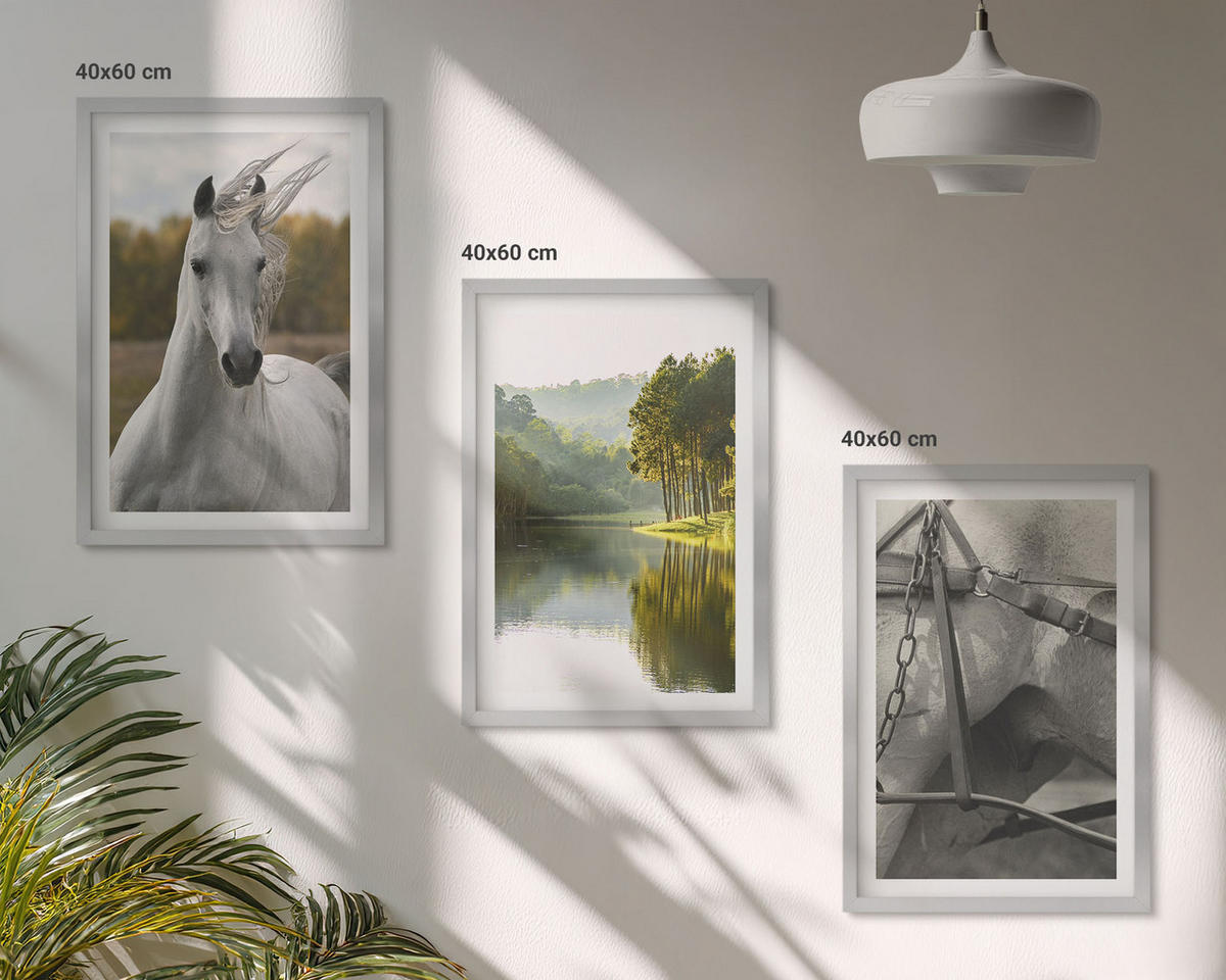BILDER SET 3er Set - 40x60 cm Silberner Rahmen - Natur des Flusses White Horses - Silberfarben, Kunststoff (40/60cm) - TULUP