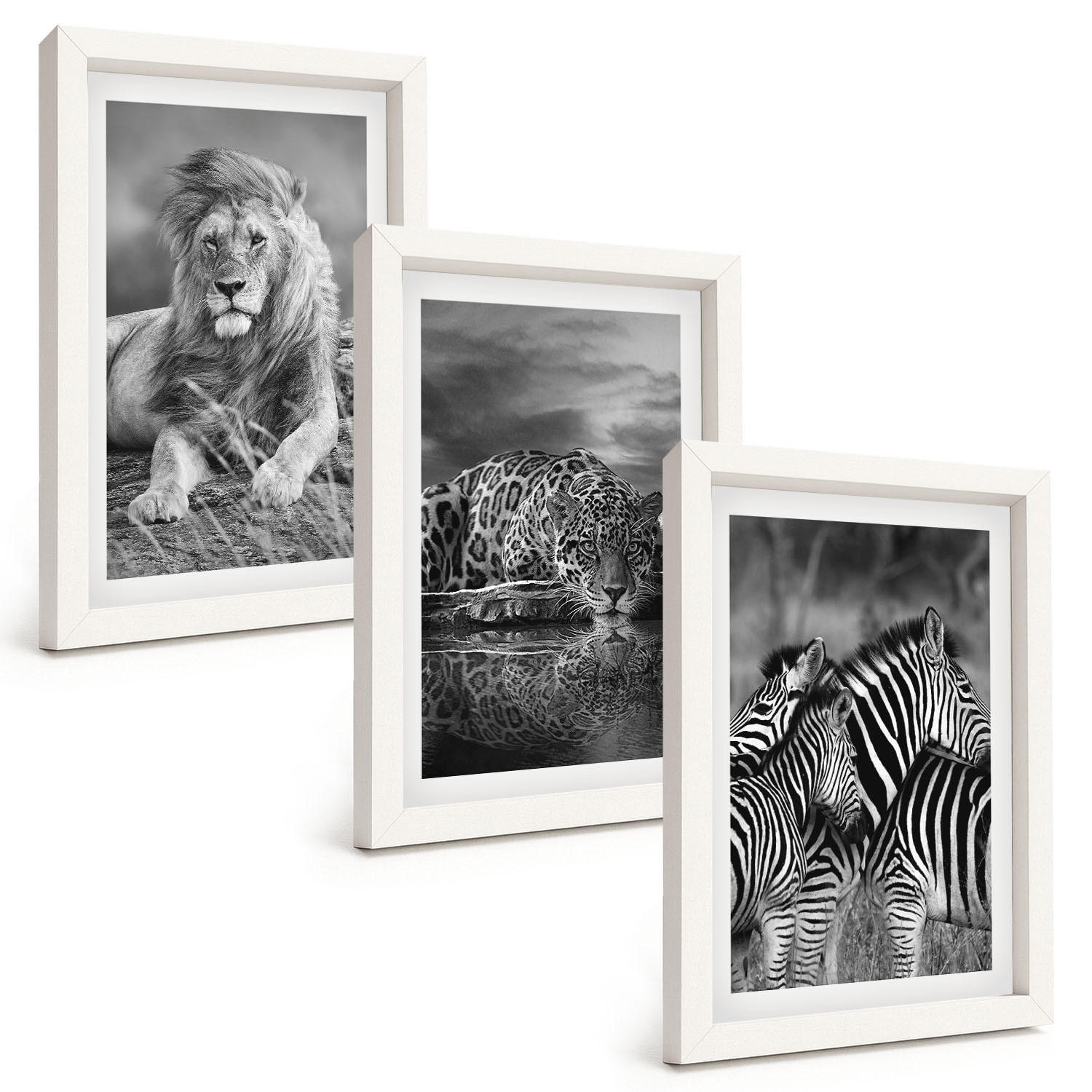 BILDER SET 3er Set - 20x30 cm Weißer Rahmen - Wildtiere der Savanne - Weiß, Kunststoff (20/30cm) - TULUP
