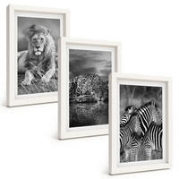 BILDER SET 3er Set - 20x30 cm Weißer Rahmen - Wildtiere der Savanne - Weiß, Kunststoff (20/30cm) - TULUP