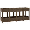 HOCHBEET 160X40X71 CM POLYPROPYLEN - Braun, Kunststoff (40/71/160cm) - vidaXL