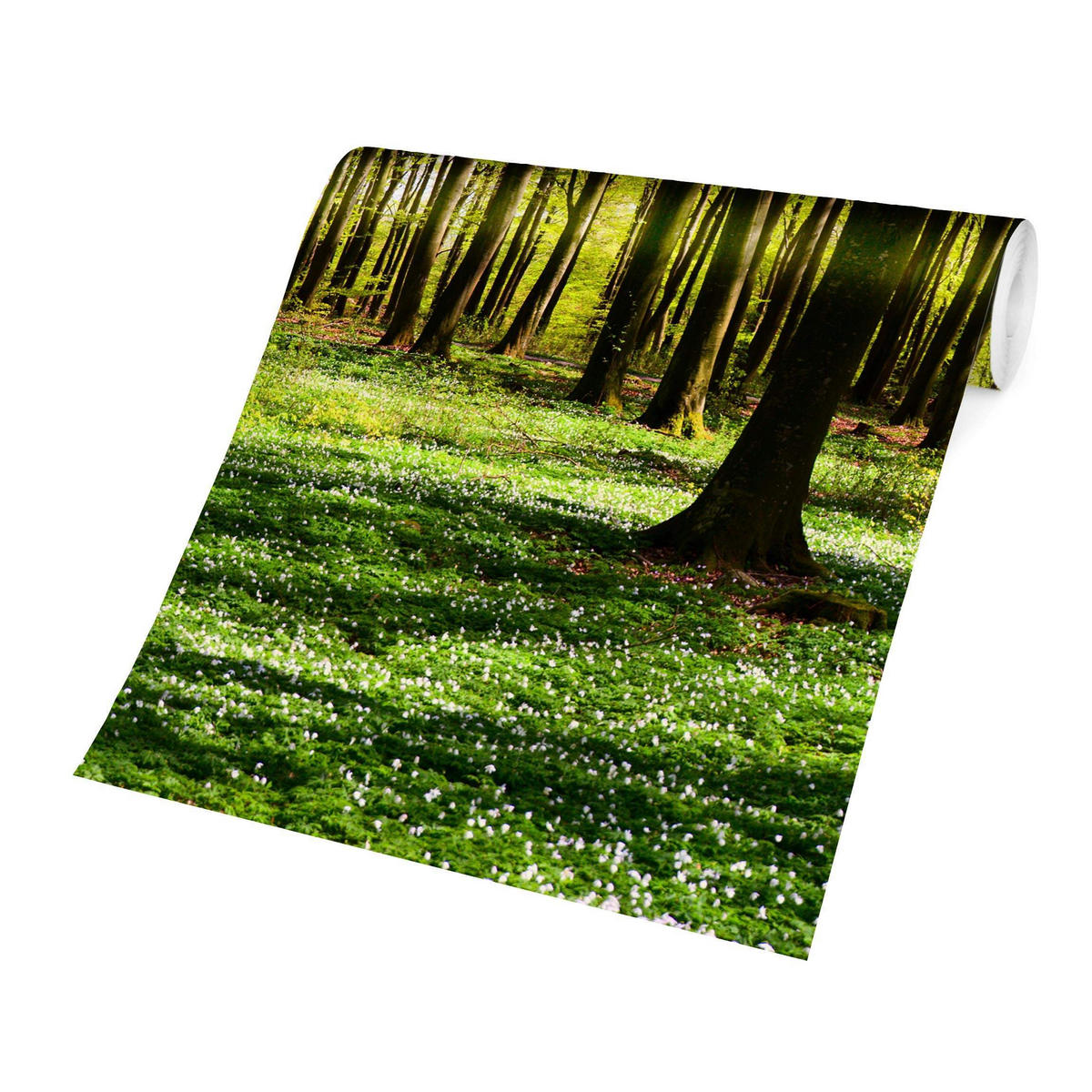 FOTOTAPETE Waldwiese 432/290 cm - Grün, Papier (432/290cm) - Bilderwelten