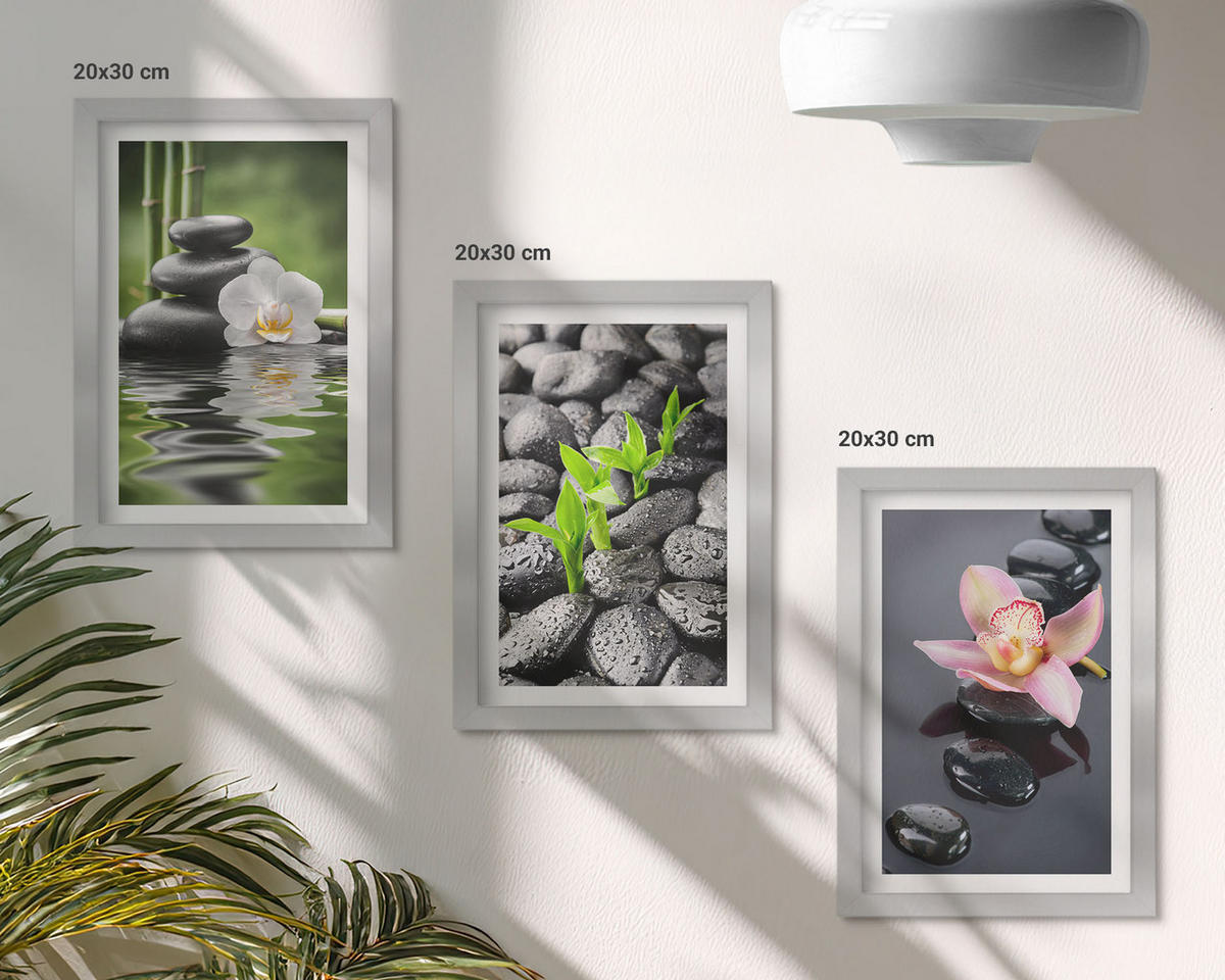 WANDBILDER 3er Set - 20x30 cm Silberner Rahmen - Eine ruhige Zen-Komposition aus Blumen und Wasser - Silberfarben, Kunststoff (20/30cm) - ArtPrintCave