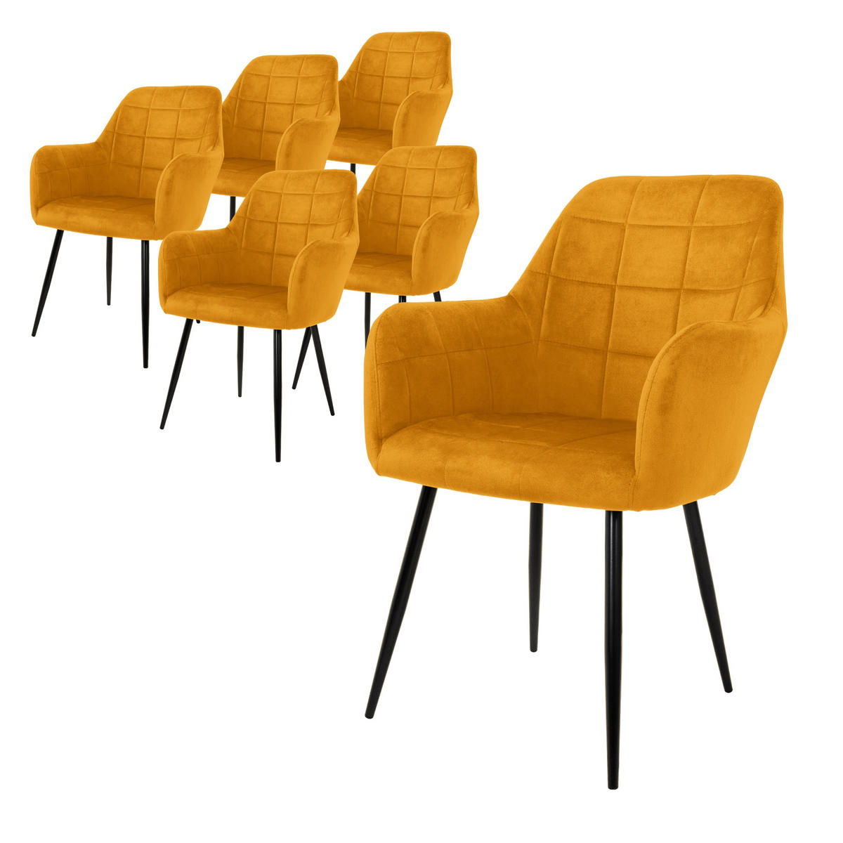 ESSZIMMERSTUHL Samt Senf 6er Set - Gelb, Metall (60/84/58cm) - ML-DESIGN