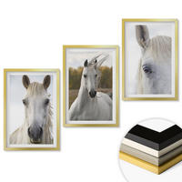 WANDBILDER 3er Set - 40x60 cm Goldrahmen - Weiße Pferde in der Natur - Goldfarben, Kunststoff (40/60cm) - ArtPrintCave