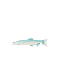WANDDEKORATION FISCH - Blau, Metall (3.8/48.2/59cm) - J-Line